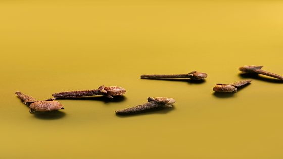 القرنفل للحواجب والرموش