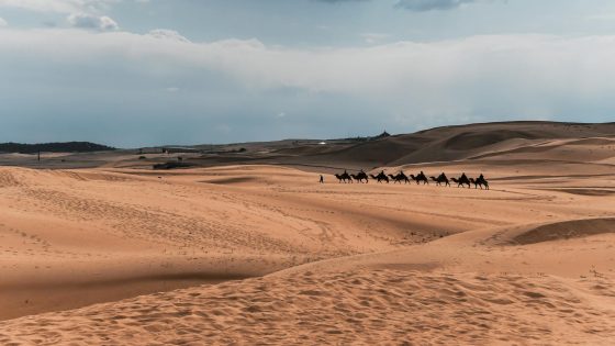 ما عاصمة منغوليا الشعبية
