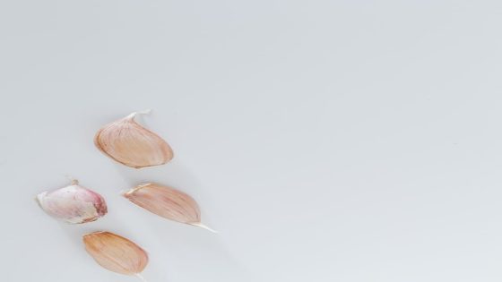 فوائد بلع الثوم على الريق للنساء