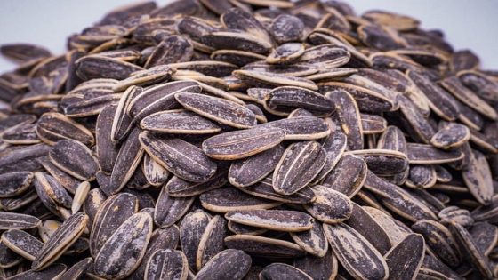 فوائد لب عباد الشمس للرجال