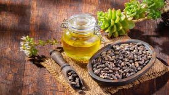 ما هي فوائد زيت الخروع للبطن