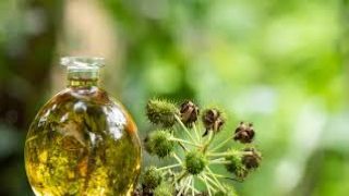 فوائد زيت الخروع للرموش وأضراره
