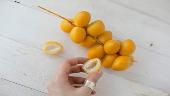 تفسير حلم قطف البلح في المنام