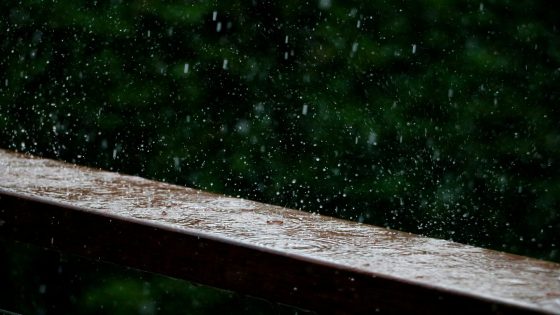 تفسير حلم نزول المطر داخل البيت للمتزوجه